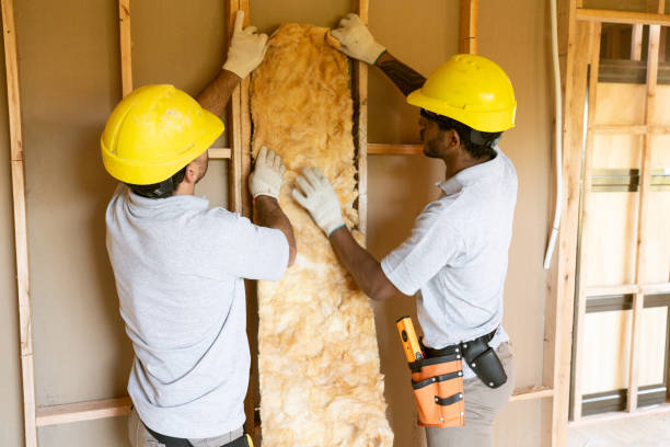 Best Insulation for New Construction  in Sulphur Springs, TX
