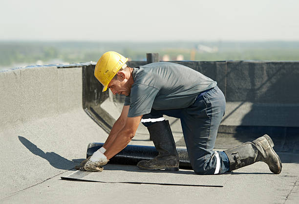 Best Local Insulation Services  in Sulphur Springs, TX